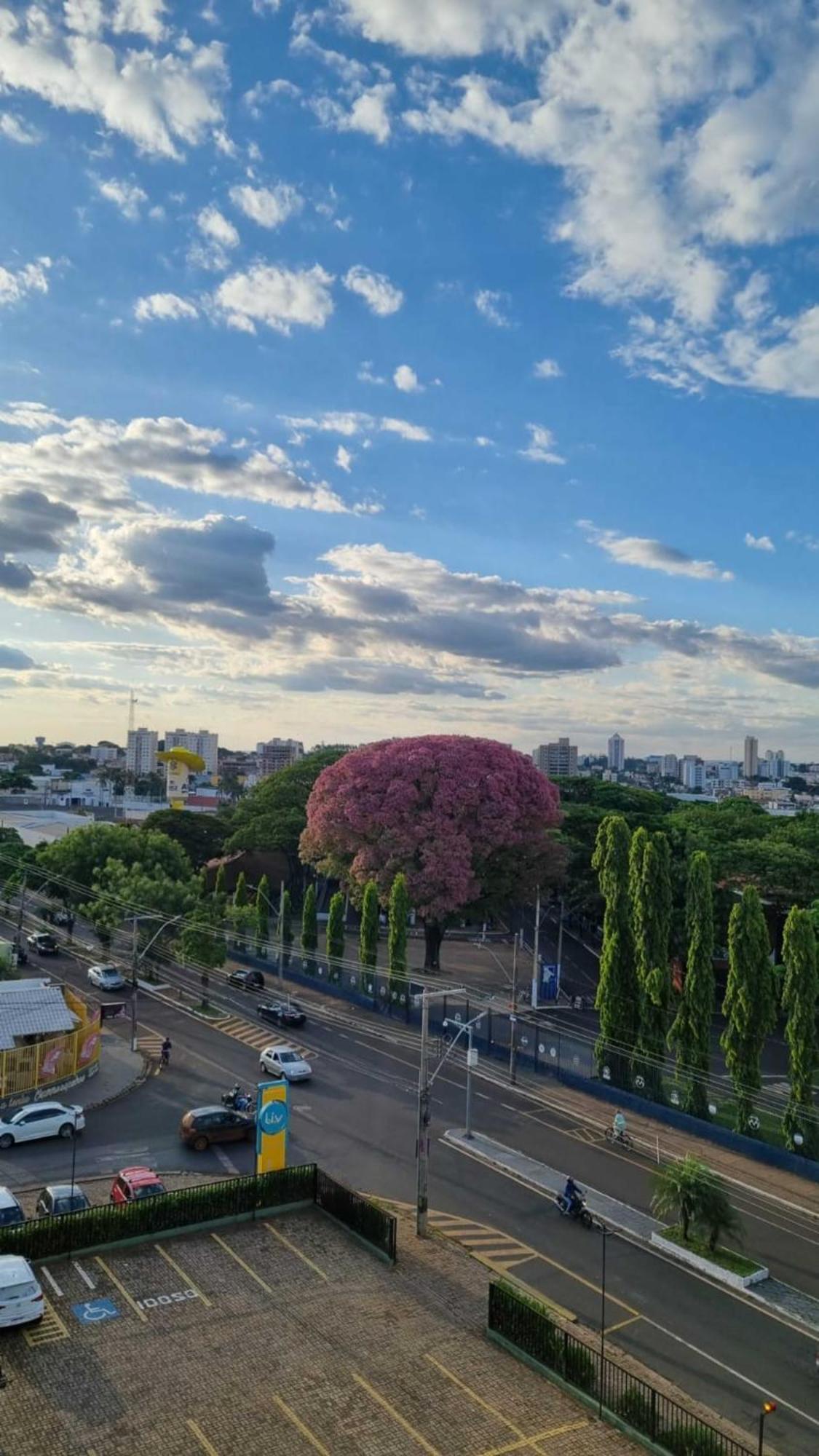 Hotel Golden Park Uberaba By Nacional Inn Cameră foto